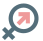 Проститутки Запорожье